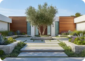 Modern courtyard with a specimen tree and ornamental grasses